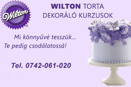 Wilton tanfolyam
